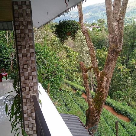 מונאר Green Tea View מראה חיצוני תמונה